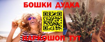 индика Первоуральск