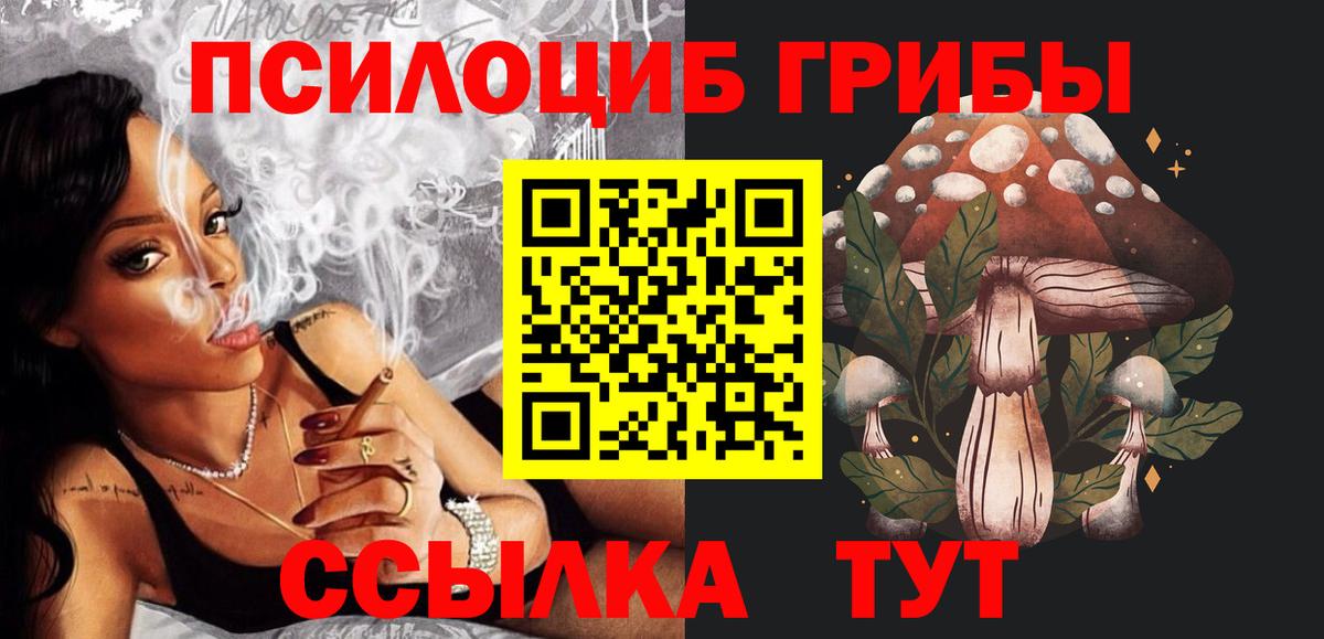 Псилоцибиновые грибы мицелий Саянск